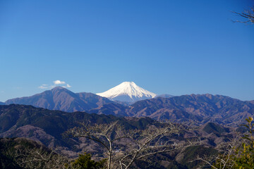 Fototapeta premium 高尾山から見た冬の富士山
