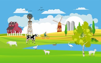 Countryside farmland, mill on hill and ponds with domestic birds, red farmer's houses on green hills,trees lambs, vector illustration