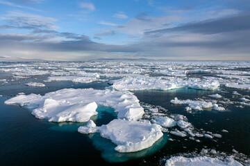 Sea ice in the North Atlantic Ocean off the northeast coast of Greenland. - obrazy, fototapety, plakaty