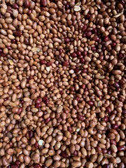 Abstract roasted peanuts for background and texture