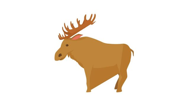 Elk icon animation best cartoon object on white background