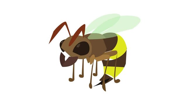 Wasp icon animation best cartoon object on white background