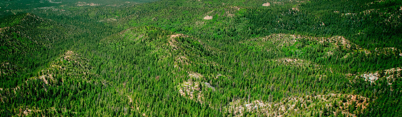 Panoramic aerial view of Bryce Canyon woods on a beautiful summer day - Bryce Canyon National Park, Utah - USA.