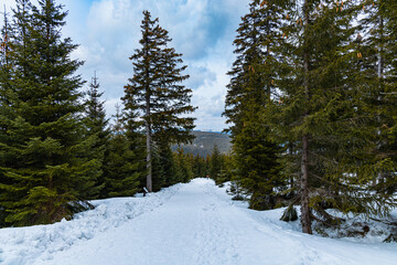 Long mountain trail full of fresh snow at cloudy morning