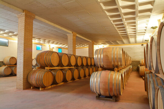 Bodega Casa Castillo, integrada en la D.O. Jumilla. Ubicada en la Ctra. Jumilla a Hellin, Jumilla, Murcia.