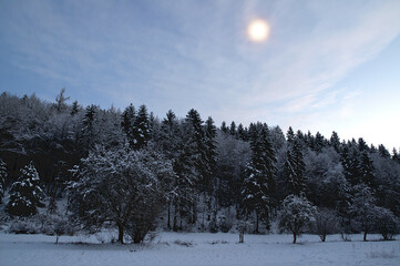 Mond kurz nach Sonnenuntergang über einem Mischwald mit frischem Schnee