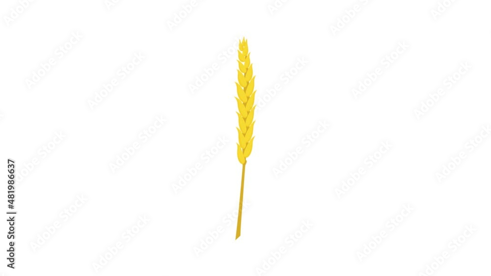 Wall mural wheat icon animation best cartoon object on white background