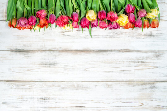 Farmhouse wooden floral background. Tulip flowers Floral banner
