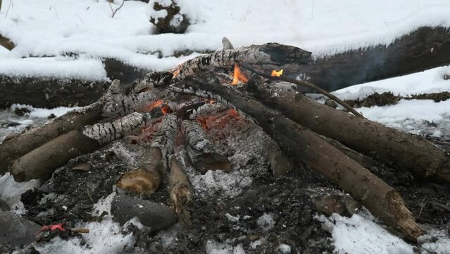 burning bonfire in the winter forest among snowdrifts