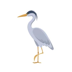 Foto op Plexiglas Gray heron standing on one leg isolated on white background © lina30
