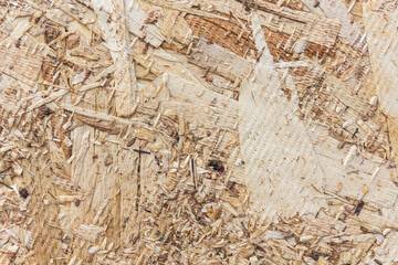 Wood background made from Plywood board