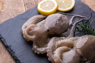 Baby octopus with lemon and rosemary. Selective focus