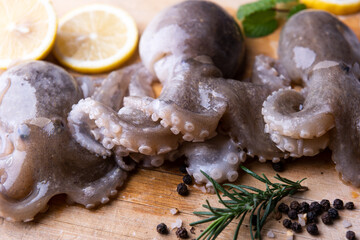 Baby octopus with lemon and rosemary. Selective focus