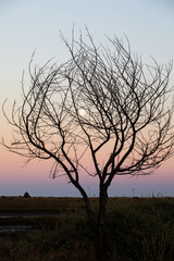 Obraz premium Atlantic coast of Algarve, Portugal