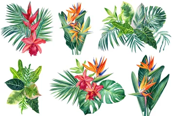 Foto op Canvas Exotic flowers, orchid, strelitzia, palm leaves, watercolor botanical illustration, tropical floral, jungle design © Hanna