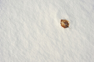 Fototapeta na wymiar Texture of the snow