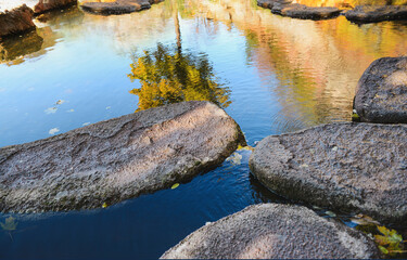 Beautiful view of pond in autumn park