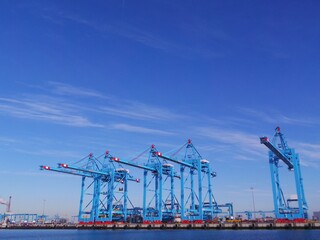 Cranes at Rotterdam harbourside