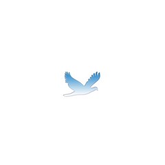 flying blue bird illustrations in photoshop