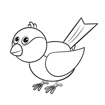 
Animals, Bird.  Black and white drawing, isolated background. Coloring book for kids.