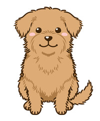 ノーフォークテリア