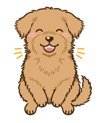 喜ぶノーフォークテリア