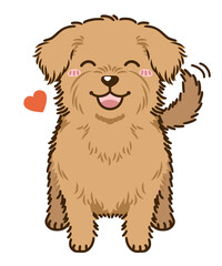 なつくノーフォークテリア