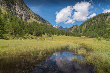 Fototapeta na wymiar Lago delle Streghe alpine lake at Alpe Devero Italy with trees and clear water