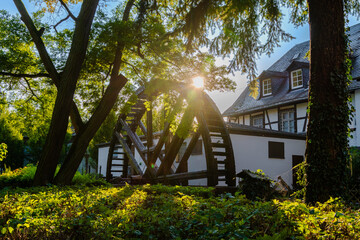 Fototapete bei efototapeten.de bestellen   
