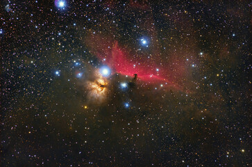 The Horsehead and Flame Nebulae in the constellation of Orion