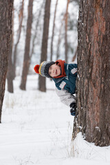 Cheerful boy peeks out from behind tree. Child in knitted hat walks through winter snow-kept park....