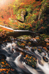 cascade waterfall in a autumn looking forest with leaves on the ground and fog in the air