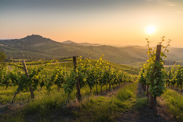 Hills in Oltrepo' Pavese covered in vineyards and fields at sunset, Italy