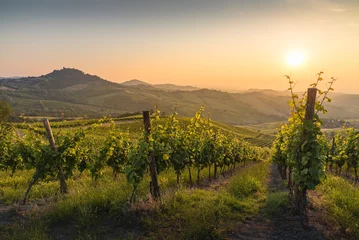 Abwaschbare Fototapete Weinberg Hills in Oltrepo' Pavese covered in vineyards and fields at sunset, Italy