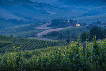 Hills in Oltrepo' Pavese covered in vineyards and fields at dusk, Italy