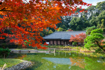 京都　浄瑠璃寺（じょうるりじ）　宝池越しに眺めた本堂（九体阿弥陀堂）と紅葉