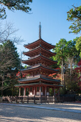 Obraz premium 京都 海住山寺（かいじゅうせんじ）の五重塔