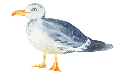 Watercolor illustration. Childish illustration of cute north pole animals. Wild animals and birds of the Arctic. For the design of holiday cards, birthday, sublimation, children's design, stickers.