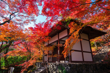 京都　嵯峨野　常寂光寺（じょうじゃっこうじ）の仁王門と紅葉