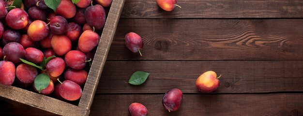 Red plum in a wooden box on a wooden table, top view, copy space. Harvesting a farm harvest, banner