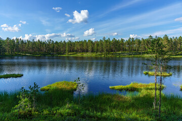 Fototapeta na wymiar Tranquil summer view across a small lake in northern Sweden