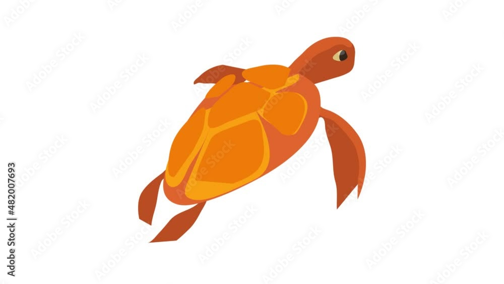 Poster turtle icon animation best cartoon object on white background