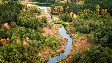 Fototapeta na wymiar River and swamps in the autumn. Aerial view of wildlife.