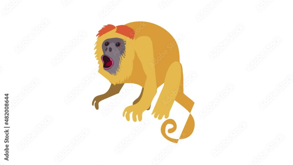 Poster surprised monkey icon animation best cartoon object on white background