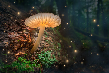 Glowing mushroom with fireflies in magical forest.