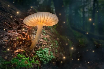 Fototapete Glowing mushroom with fireflies in magical forest. © shaiith