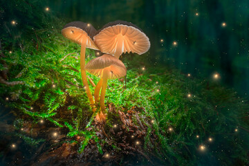 Mushroom lamps on moss with fireflies in dark forest.