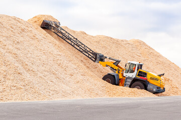 Wood chips storage in timber terminal. Sawdust.	