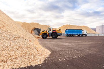 Obraz premium Wood chips storage in timber terminal. Sawdust. 