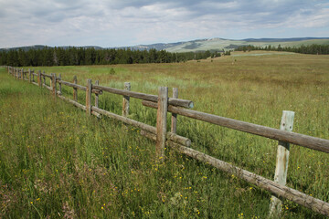 Split rail fence through a meadow in the mountains of Wyoming. 